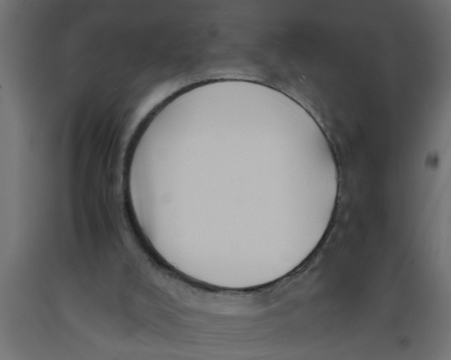 X0000090860008200708241909