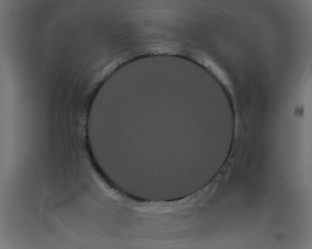 X0000090860009200708241909