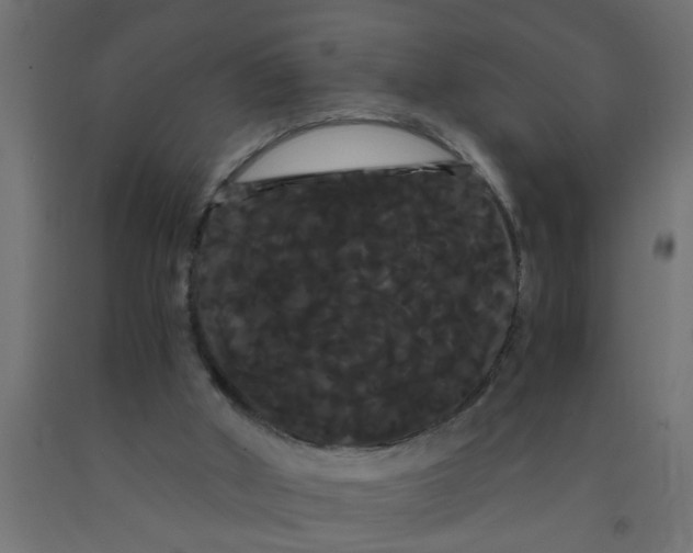 X0000090860010200708241909