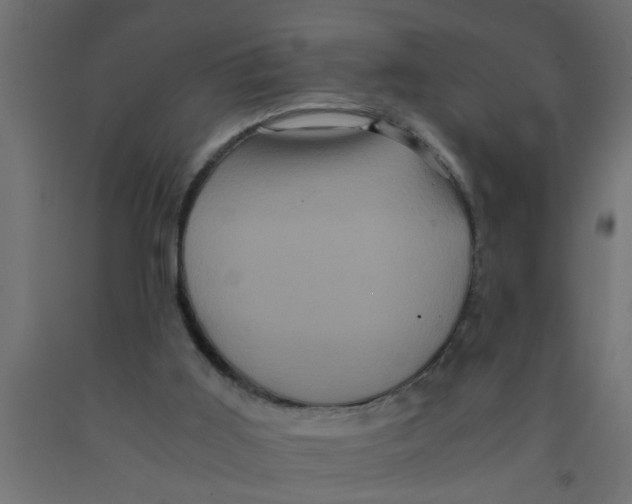 X0000090860011200708241909