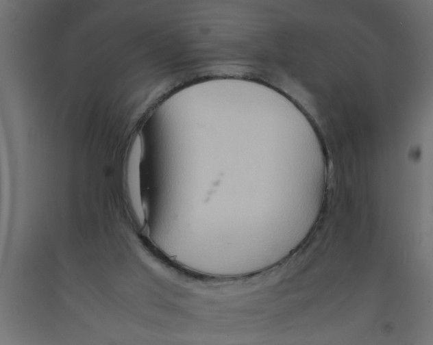 X0000090860013200708241909