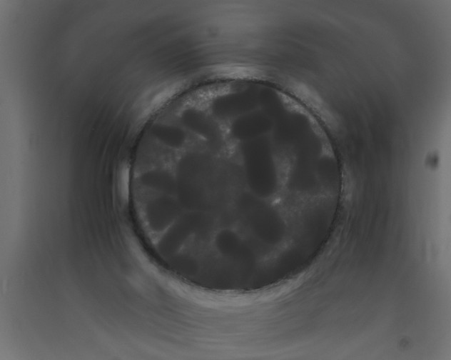 X0000090860014200708241909