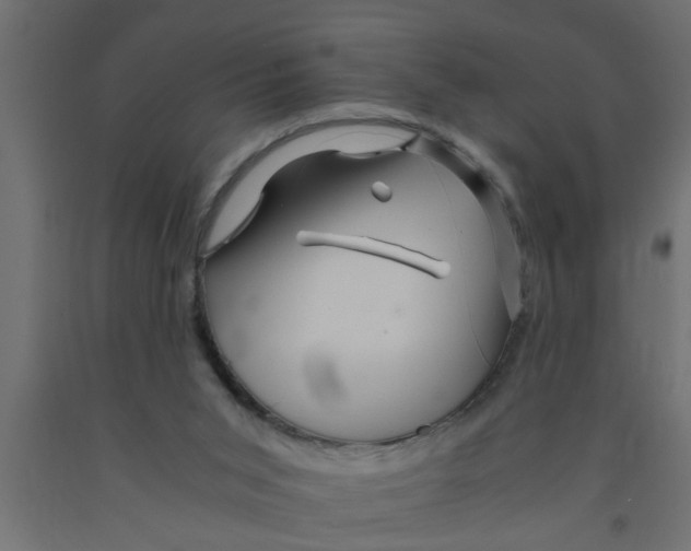 X0000090860015200708241909