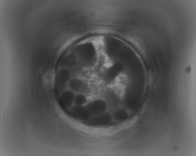 X0000090860016200708241909