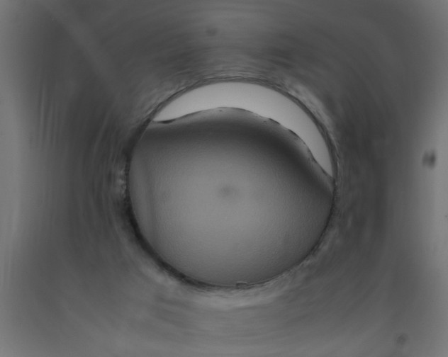 X0000090860017200708241909