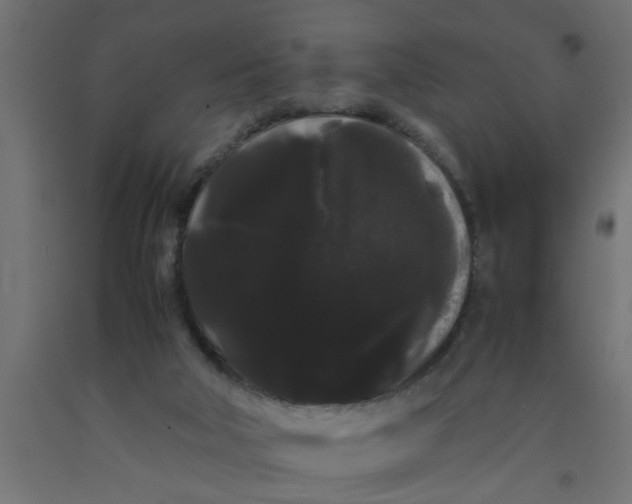 X0000090860018200708241909