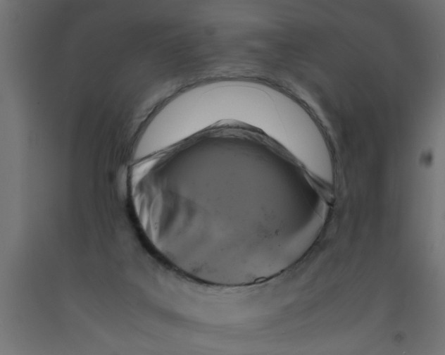 X0000090860019200708241909