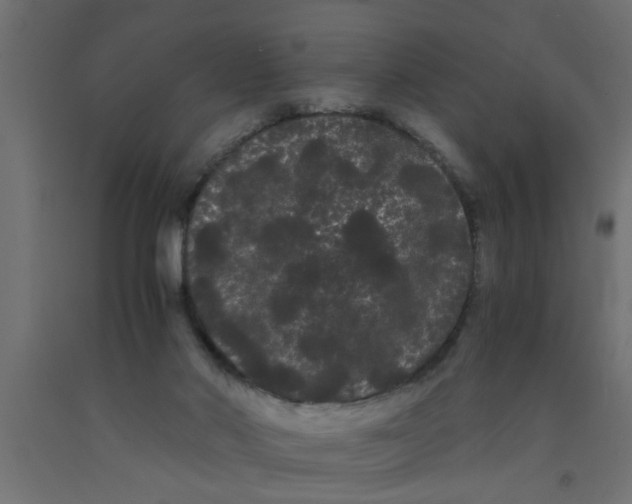 X0000090860022200708241908