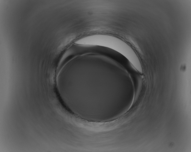 X0000090860023200708241908