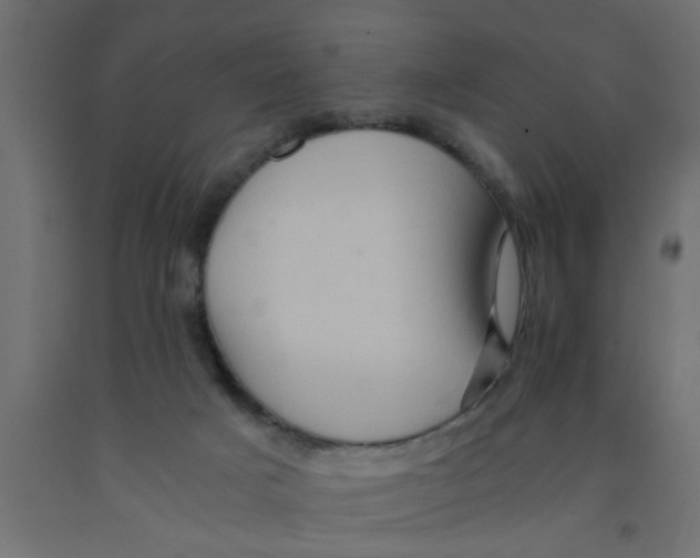 X0000090860025200708241908