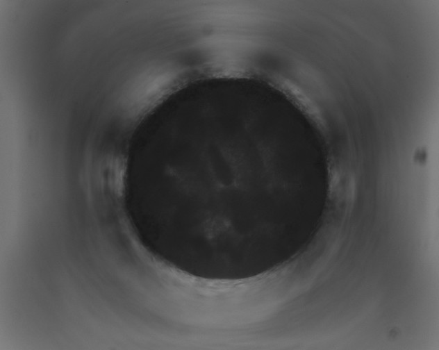 X0000090860026200708241908