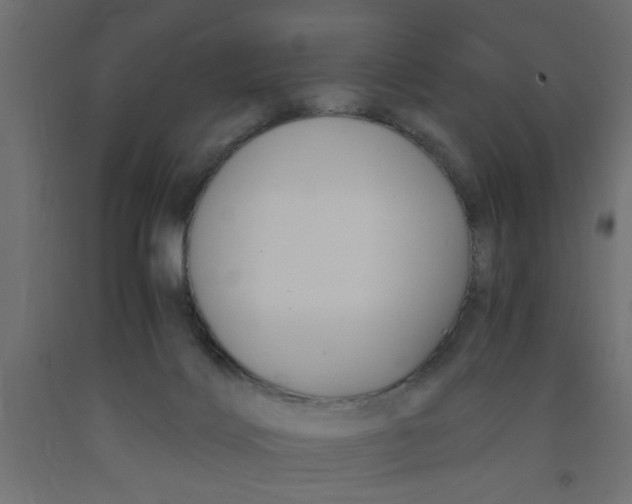 X0000090860028200708241908