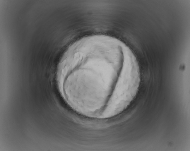 X0000090860032200708241908