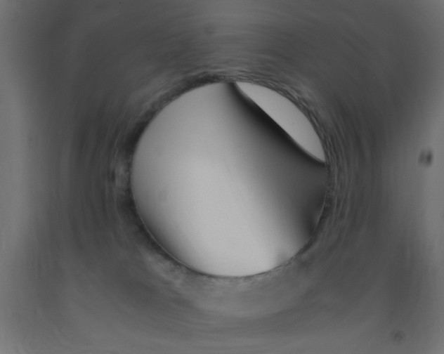 X0000090860037200708241908