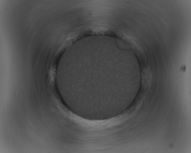 X0000090860038200708241908