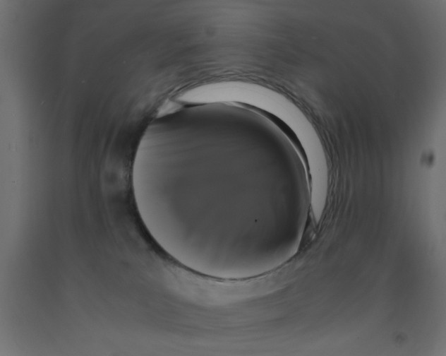 X0000090860039200708241908