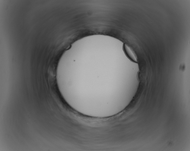 X0000090860040200708241908