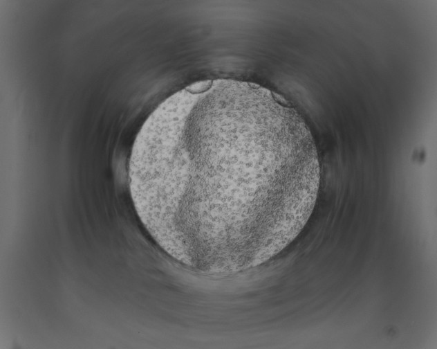 X0000090860042200708241908