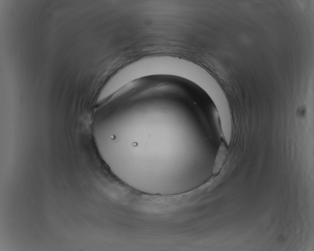 X0000090860045200708241908