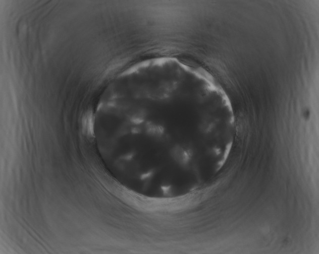 X0000090860046200708241908