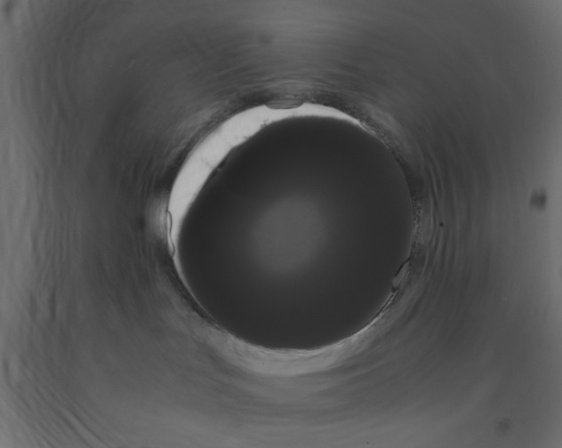 X0000090860047200708241908