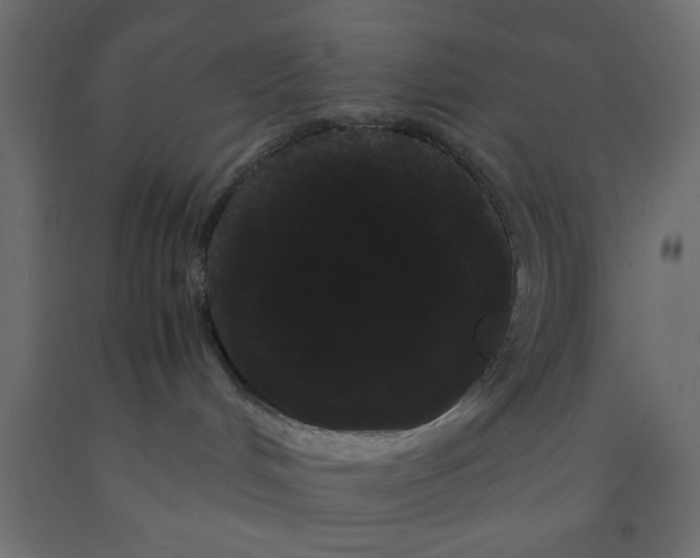 X0000090860048200708241908