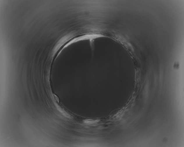 X0000090860051200708241907