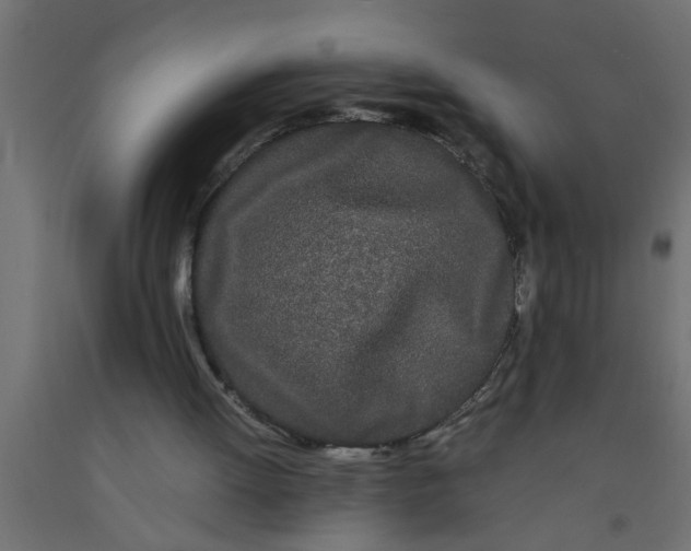 X0000090860052200708241907