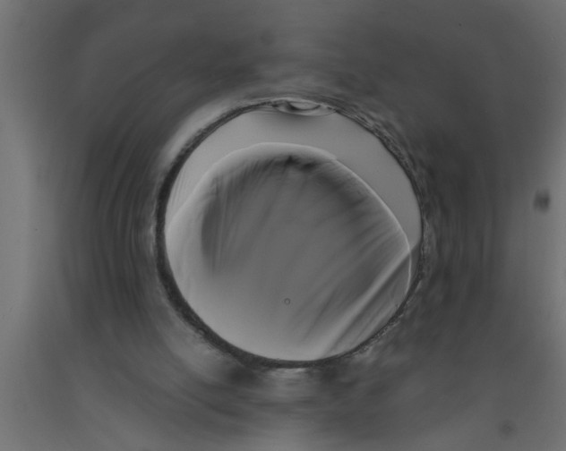 X0000090860054200708241907