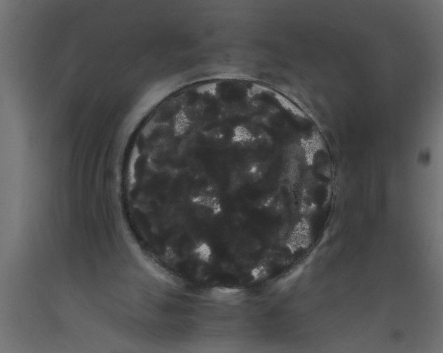 X0000090860055200708241907