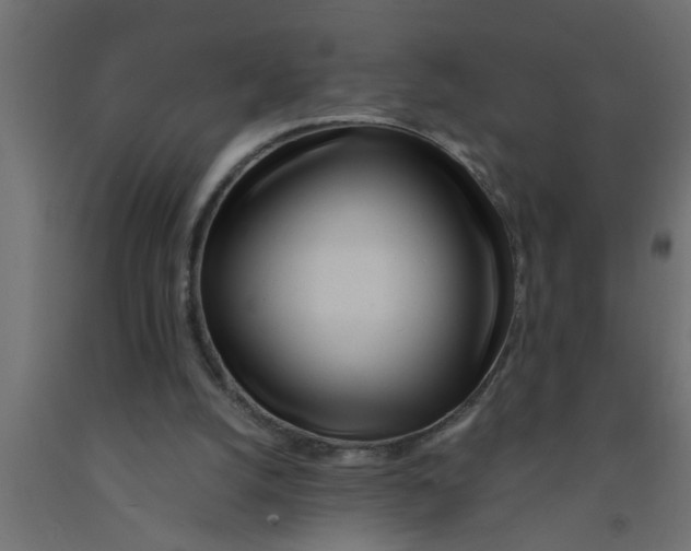 X0000090860056200708241907