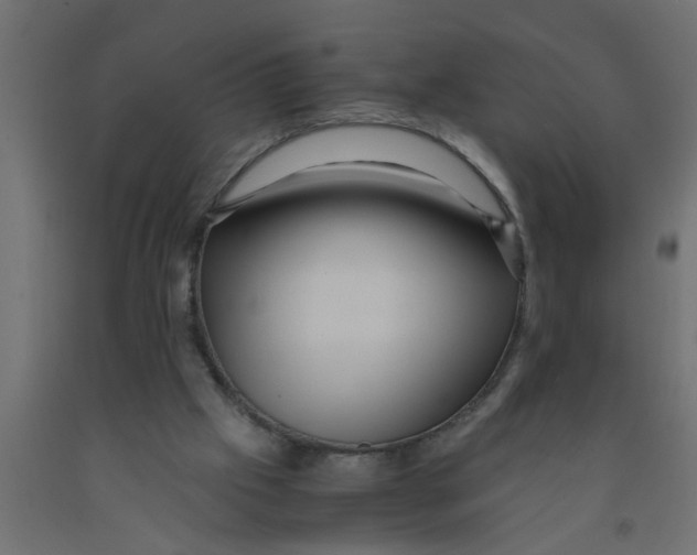 X0000090860057200708241907