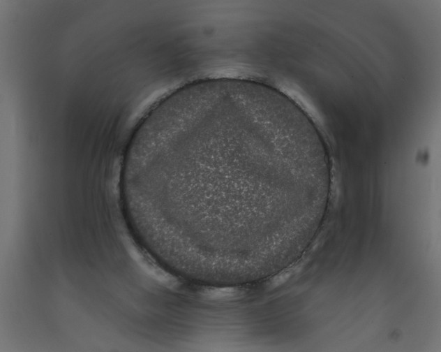 X0000090860058200708241907