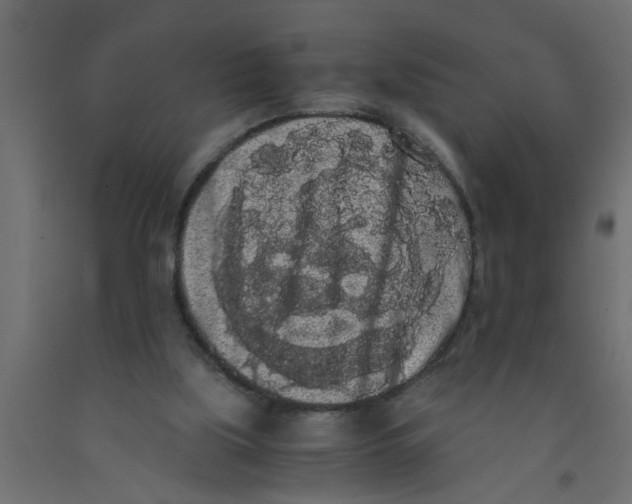 X0000090860059200708241908