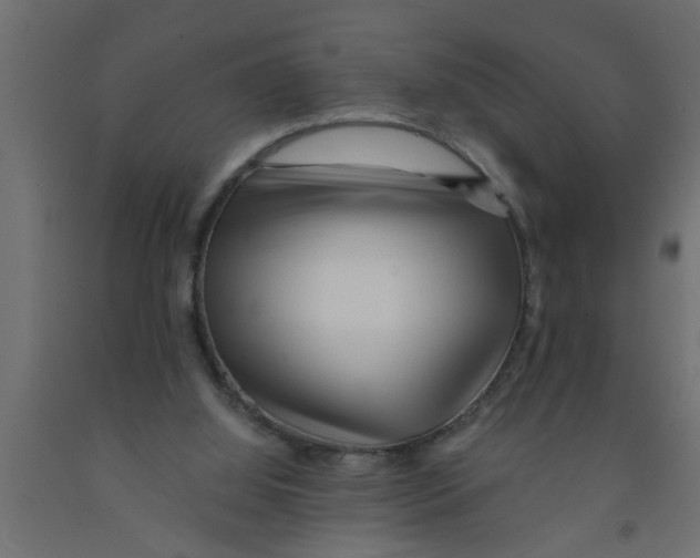 X0000090860060200708241908