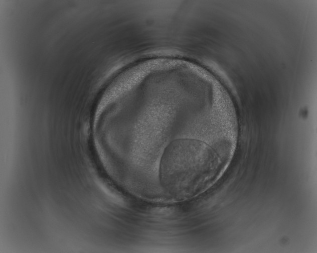 X0000090860063200708241908