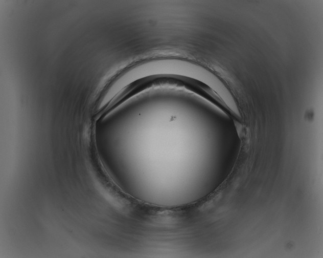 X0000090860064200708241908