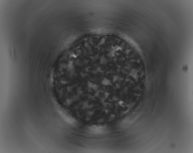 X0000090860065200708241908