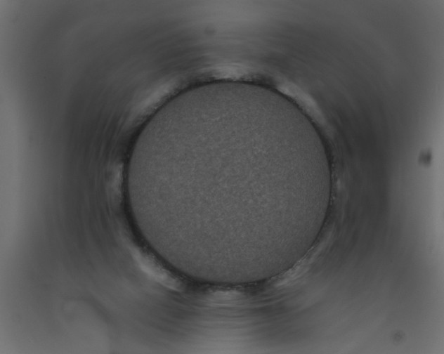 X0000090860066200708241908