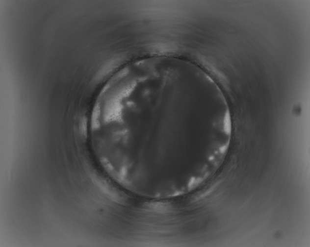 X0000090860067200708241908