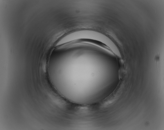 X0000090860068200708241908