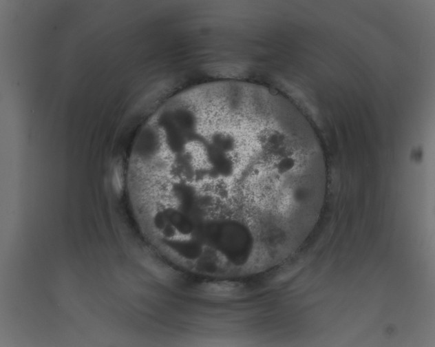 X0000090860069200708241908