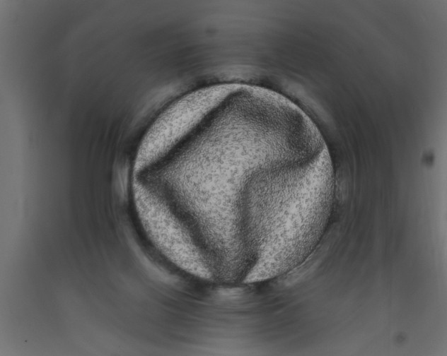 X0000090860070200708241908