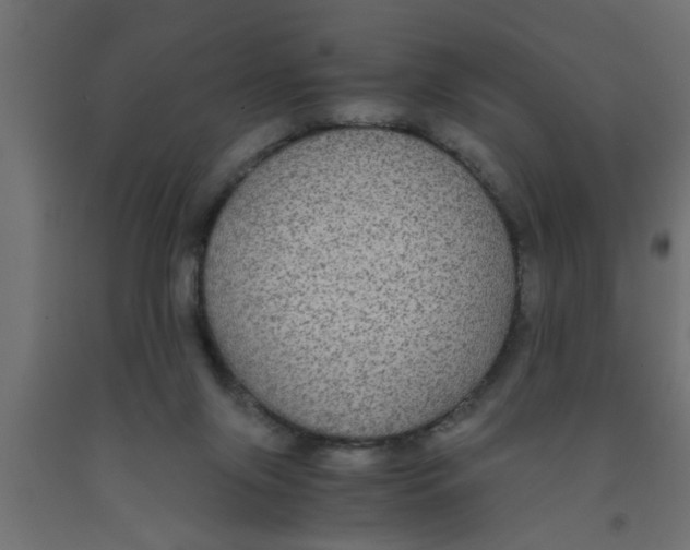 X0000090860071200708241908