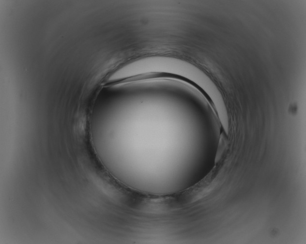 X0000090860072200708241908