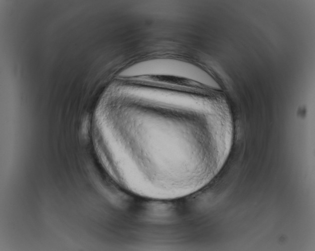 X0000090860073200708241908