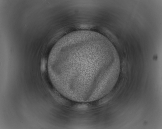 X0000090860075200708241908