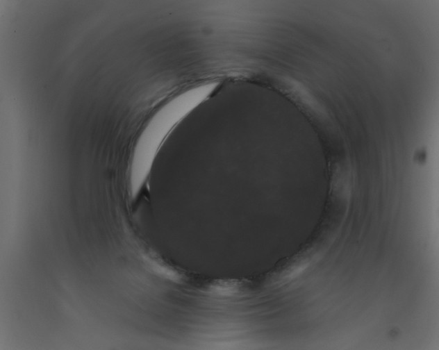 X0000090860076200708241908