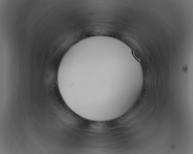 X0000090860079200708241908