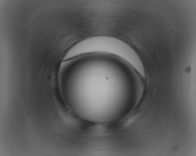 X0000090860080200708241908